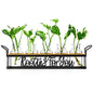 THYGIFTREE Plant Propagation Stations, for Plant Lovers Rooting for You Propagate Jars for Hydroponic Cuttings Propagating Vase - color: Black – 5 Tray Letter