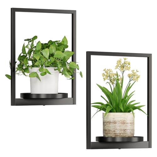 Hanging Planters for Indoor Plants - Aesthetic Photo Frame Style Wall Plant Holder - Metal Window Plant Shelves, Wall Plant Hanger for Lingving Room Home Gardening Wall Decor (2-Pack) - size: 2-Pack