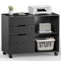 DUMOS File Cabinet with 3 Drawers, Wood Under Desk Storage Printer Stand | Rolling Lateral Filing Cabinet with Adjustable Shelves for Home Office Study Organization,Black - color: Modern Black