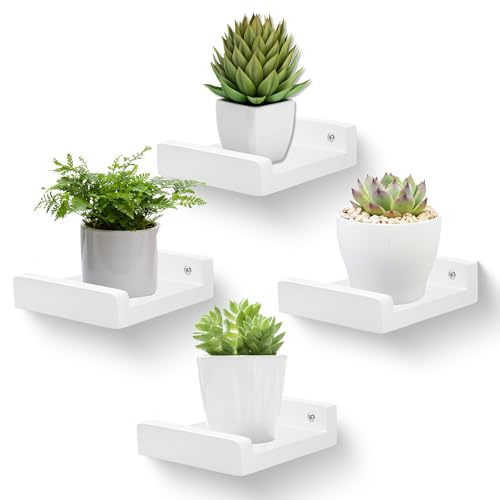 PHOENANCEE Small Floating Shelf,Mini Wall Shelves with Lip,Display Ledge,Speaker Shelf Set of 4 for Picture Frames Plants Decorative for Living Room Kitchen Bedroom,Wood,5 Inch,White - color: White, size: 5 Inch(4pcs)