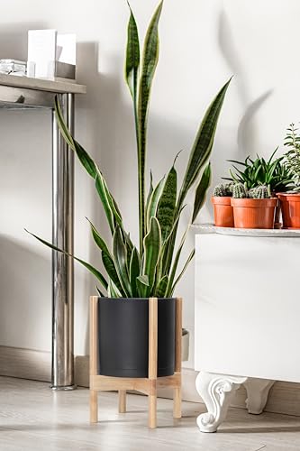 D'vine Dev Plastic Pot with Natural Wood Stand, Black, 10 in, 55-C-M-2 | Mid-Century Inspired Design, Elevated Plant Display, Clean Lines, Sturdy Support, Modern Space-Saving Style - color: Matte Black Pot + Natural Stand, size: 10 Inch