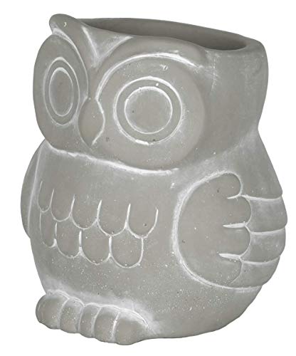 GROWSCAPE Cement Buddies Animal Planter - Cute Desk Decoration - UV Coated Animal Vase w/Removable Drain Plug - Succulent Planter for Indoor/Outdoor Use (Owl Planter, Natural, Large) - color: Natural, size: Large, style: Owl