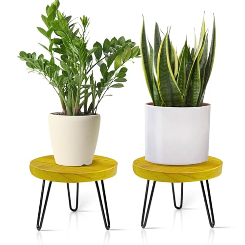 OBTAIN Plant Stand Indoor Outdoor, Wooden plant Stool, Mid Century Plant Stand for Indoor Plants, Wood Modern Plant Holder Rattan Flower, Low Short Boho Rustic Planter Stand Fit 5-15 Inch Pot(M, L) - color: Champagne Gold, size: Medium & Large (2-Pack)