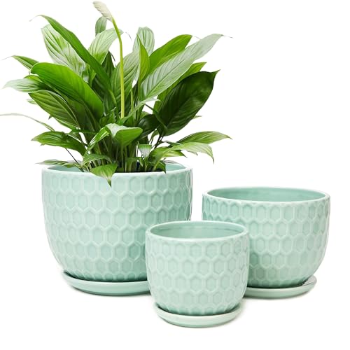 Ceramic Flower Pots with Drainage Hole and Saucer, Modern Round Succulent Planters with Honeycomb Inspired Texture Design, Small to Medium Sized, Set of 3, Green - size: 6.4"+5.2"+3.7" - Set of 3, style: Honeycomb