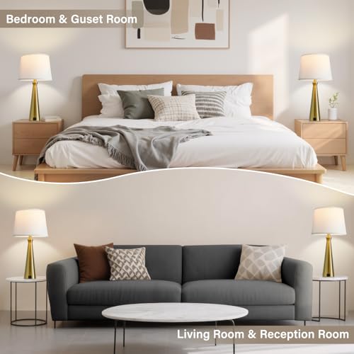 Seealle Modern Table Lamps Set of 2 - Touch Bedside Lamps for Nightstand with Dual USB C+A,3-Way Dimmable Gold Nightstand Lamps for Living Room Bedroom (Bulb Included) - color: G. Gold-White