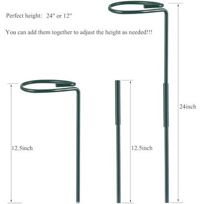 Plant Stake Support - 6 Pack Adjustable Height 12" or 24", Garden Support Stake Plant Cage Support Rings, Single Stem Plant Support Stakes, for Flowers Amaryllis Tomatoes Peony Lily Rose (24inch) - size: 24inch