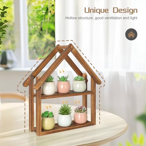 Jotsport Small Windowsill Plant Stand Desktop Succulents Holder | House Shaped Display Stand 2 Tier Wooden Plant Shelf for Kitchen Living Room Office
