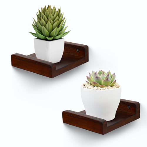 PHOENANCEE Small Wall Shelves,Mini Floating Shelf with Lip,Display Ledge,Speaker Shelf Set of 2 for Picture Frames Plants Decorative for Living Room Kitchen Bedroom,Wood,5 Inch,Walnut - color: Walnut, size: 5 Inch(2pcs)
