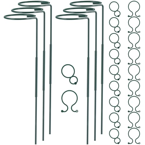 Plant Stake Support - 6 Pack Adjustable Height 16" or 30", Garden Support Stake Plant Cage Support Rings, Single Stem Plant Support Stakes, for Flowers Amaryllis Tomatoes Peony Lily Rose (30inch) - size: 30inch