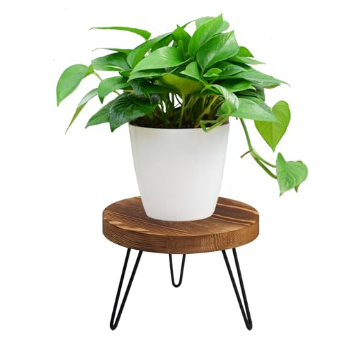 Plant Stand, Indoor/Outdoor Wooden Plant Stands, Mid-Century Plant Table Round Plant Stool for Large Plants , Single Plant Stand for Living Room, Balcony, Office