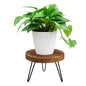 Plant Stand, Indoor/Outdoor Wooden Plant Stands, Mid-Century Plant Table Round Plant Stool for Large Plants , Single Plant Stand for Living Room, Balcony, Office