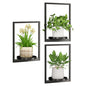 Hanging Planters for Indoor Plants - Aesthetic Photo Frame Style Wall Plant Holder - Metal Window Plant Shelves, Wall Plant Hanger for Lingving Room Home Gardening Wall Decor (3-Pack) - size: 3-Pack