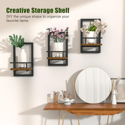 2-Pack Floating Shelves for Indoor Plants, Wall Mounted Storage Shelves for Bedroom, Living Room, Kitchen, Office, Bathroom Decor