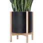 D'vine Dev Plastic Pot with Natural Wood Stand, Black, 14 in, 55-C-S-2 | Mid-Century Inspired Design, Elevated Plant Display, Clean Lines, Sturdy Support, Modern Space-Saving Style - color: Matte Black Pot + Natural Stand, size: 14 Inch
