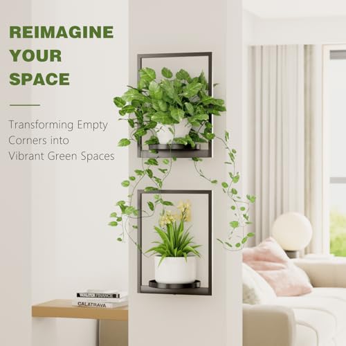 Hanging Planters for Indoor Plants - Aesthetic Photo Frame Style Wall Plant Holder - Metal Window Plant Shelves, Wall Plant Hanger for Lingving Room Home Gardening Wall Decor (3-Pack) - size: 3-Pack