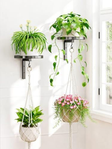 iDavosic.ly Wall Plant Holder with Macrame Hanger 2 Pack for Indoor, Black | Floating Single Flower Display Stand for Window Corner with Hook, Space Saving, Easy to Assemble (Pots/Plants Not Included) - color: Black with 2 Hanger, size: 2 Pack