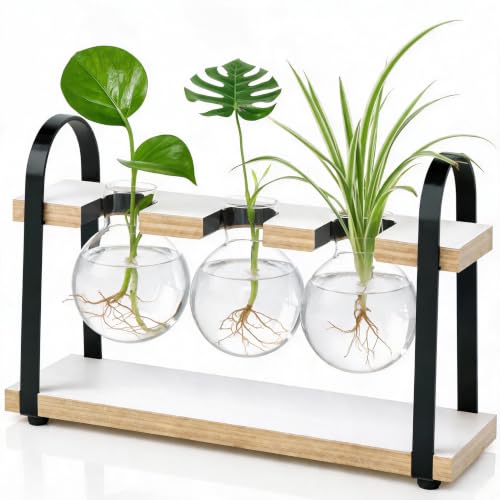 THYGIFTREE 3-Ball Plant Propagation Station with Wooden Stand, Retro Glass Bulb Vase, Hydroponic Cuttings Holder, Compact Desktop Botanical Decor for Office, Windowsill, Gift for Plant Lovers - color: White