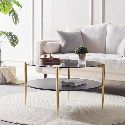 LumFurn Round Coffee Table for Living Room, Mid-Century Modern Design, D30 x H17, 2-Tier Structure, Grey Glass Top and Black Marble Finish Wood Shelf, Sleek Conical Metal Legs with Gold Finish Frame - color: Grey & Black Marble, size: D30" Round Coffee Ta