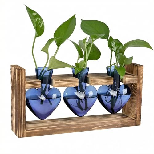 Plant Propagation Station 3Pcs Heart Vase with Wooden Stand Tabletop for Hydroponics Indoor Home Table Decor for Her Plant Lovers Women Mom Wife Daughter (Blue) - color: Blue