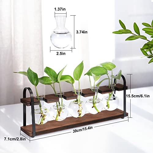 THYGIFTREE Plant Propagation Stations with Wooden Stand | Desktop Retro Plant Terrarium, Bulb Vase for Indoor Hydroponic Flowers, Tabletop Glass Planter - color: Dark Brown