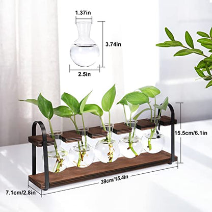 THYGIFTREE Plant Propagation Stations with Wooden Stand | Desktop Retro Plant Terrarium, Bulb Vase for Indoor Hydroponic Flowers, Tabletop Glass Planter - color: Dark Brown