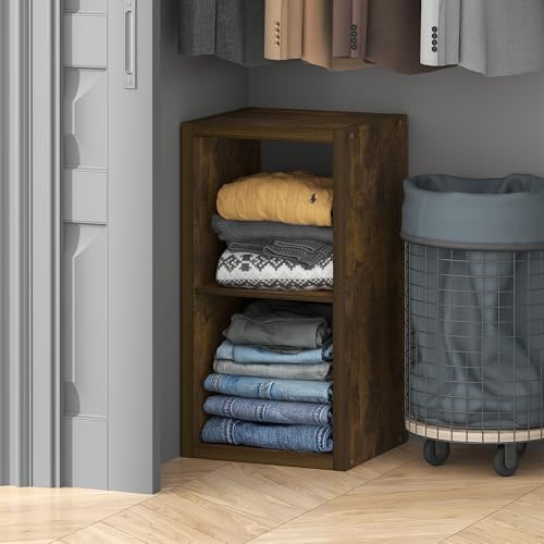 Furinno Cubic Extra Thick 2-Cube Closet Organizers and Storage, Amber Pine | 14.6 x 16 x 30 in, Open Shelf Closet Storage, Closet Organizer, for Wardrobe, Bedroom, Living Room - color: Amber Pine, size: 2-Cube