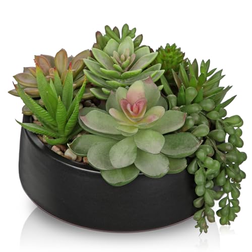DILATATA Artificial Succulent Plants in Pot 5.5 Inch Fake Succulents Arrangement Potted Plant in Black Ceramic Planter Bowl for Home Office Desk Shelf Living Room Bedroom Bathroom Decor - color: Black Ceramic#style 2