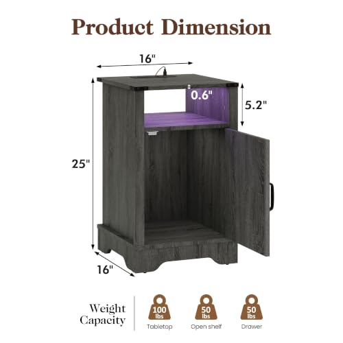 Nightstands Set of 2, Bedside Tables with Charging Station & LED Lights,25 inch Farmhouse Bedside Tables with Storage Cabinet, Open Shelf & Color Changing Lights, Rustic Wooden End Tables, Dark Gray