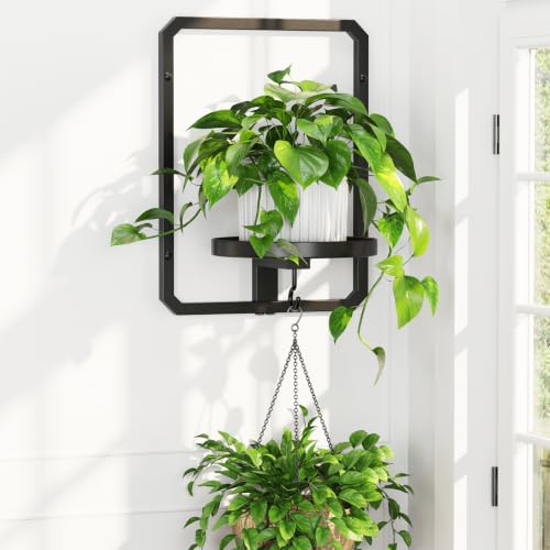 iDavosic.ly Wall Plant Picture Frame Holder for Indoor, Metal Stand with Hanging Hooks, Floating Flower Display Decor, Space Saving & Easy to Assemble (Pots/Chains/Plants Not Included) - color: Black, 1 Pack, size: Rectangular