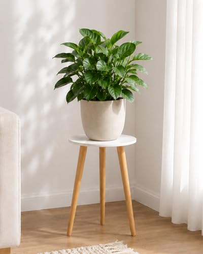 Bamworld Tall Plant Stand Indoor Wood Single Plant Table | Flower Stand for Large Plants Plant Stool for Bedroom Living Room Home Office White - color: White Tall