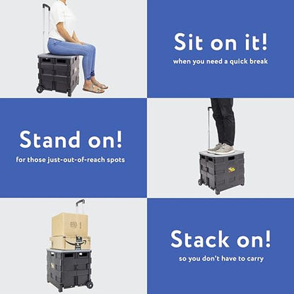 dbest products Quik Cart Collapsible Rolling Crate on Wheels for Teachers Tote Basket 80 lbs Capacity, Made from Heavy Duty Plastic and Used as a Seat, Grey - color: Gray, style: Standard