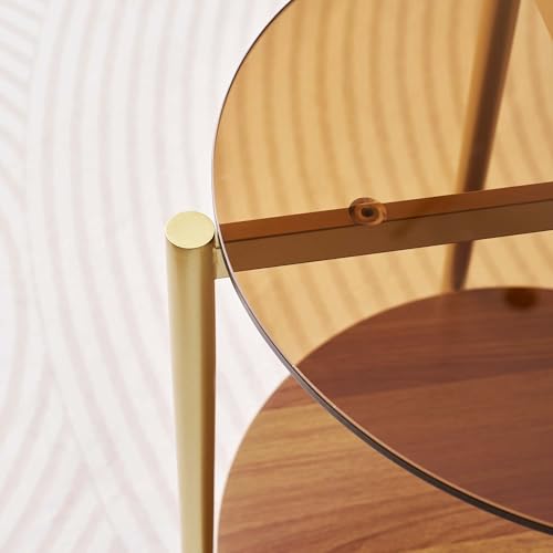 LumFurn Round Glass End Table, Mid-Century Modern Design Sofa Table for Living Room, D18 x H23, 2-Tier Structure, Amber Glass Top and Walnut Shelf, Sleek Conical Legs with Gold Finish Frame - color: Amber & Walnut, size: D18" Round End Table