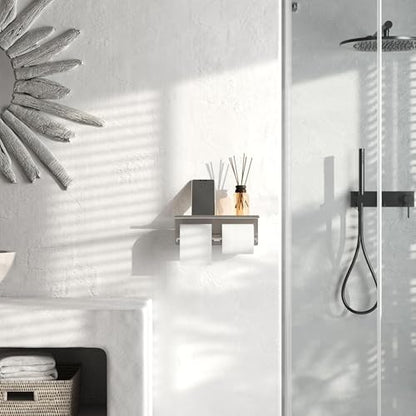 Brushed Nickel Toilet Paper Roll Holder with Shelf Wall Mounted for Bathroom (Brushed Nickel, Double Head) - color: Brushed Nickel