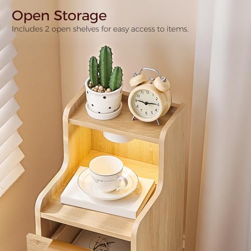 MAHANCRIS Narrow Nightstand with LED Light, Small Side Table with 2 Drawers, Open Shelf, Modern Bedside Table, Slim End Table for Small Spaces, Skinny Night Stand for Bedroom, Natural ETNA35E01 - color: Natural