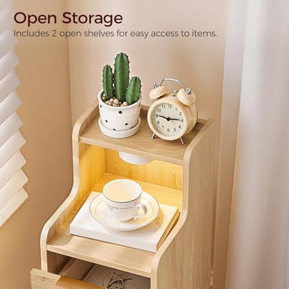 MAHANCRIS Narrow Nightstand with LED Light, Small Side Table with 2 Drawers, Open Shelf, Modern Bedside Table, Slim End Table for Small Spaces, Skinny Night Stand for Bedroom, Natural ETNA35E01 - color: Natural