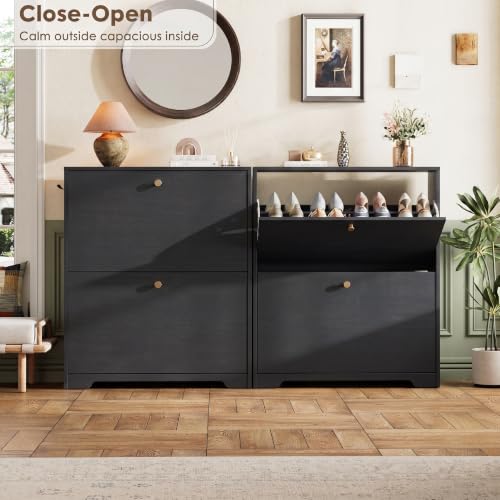 Nicetree Shoe Cabinet with 2 Flip Drawers, Narrow Shoe Organizer Cabinet, Freestanding Shoe Rack Cabinet, Modern Shoe Storage Cabinet for Entryway, Hallway, Foyer, Black - color: Black, style: 2-Drawers