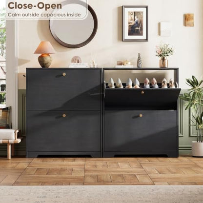 Nicetree Shoe Cabinet with 2 Flip Drawers, Narrow Shoe Organizer Cabinet, Freestanding Shoe Rack Cabinet, Modern Shoe Storage Cabinet for Entryway, Hallway, Foyer, Black - color: Black, style: 2-Drawers