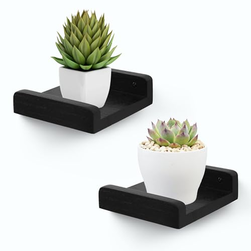 PHOENANCEE Small Wall Shelves,Mini Floating Shelf with Lip,Display Ledge,Speaker Shelf Set of 2 for Picture Frames Plants Decorative for Living Room Kitchen Bedroom,Wood,5 Inch,Black - color: Black, size: 5 Inch(2pcs)