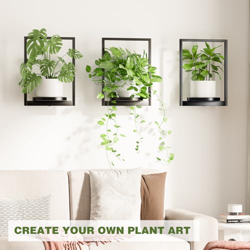 Hanging Planters for Indoor Plants - Aesthetic Photo Frame Style Wall Plant Holder - Metal Window Plant Shelves, Wall Plant Hanger for Lingving Room Home Gardening Wall Decor (2-Pack) - size: 2-Pack
