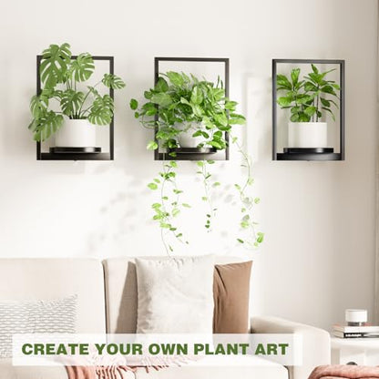 Hanging Planters for Indoor Plants - Aesthetic Photo Frame Style Wall Plant Holder - Metal Window Plant Shelves, Wall Plant Hanger for Lingving Room Home Gardening Wall Decor (2-Pack) - size: 2-Pack