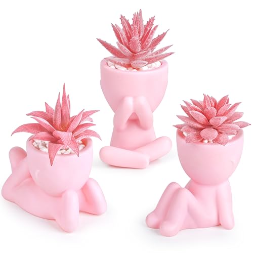 Der Rose Pink Artificial Succulents Plants Set of 3 Fake Artificial Plants Office Desk Accessories for Pink Room Bathroom Shelf Decor - color: Pink