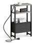 Narrow Side Table with Charging Station Slim End Table Sofa with Magazine Rack, Bedside Table for Small Spaces, 3 Tier Nightstand for Living Room Couch, Bedroom Oak Grey LET503QE - color: Oak Grey, style: With Charging Station