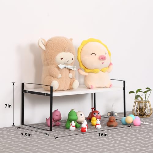 YGYQZ Desk Shelf Organizer for Top of Desk, 1-Tier Desktop Bookshelf, Black & White - color: 1-tier Black/White