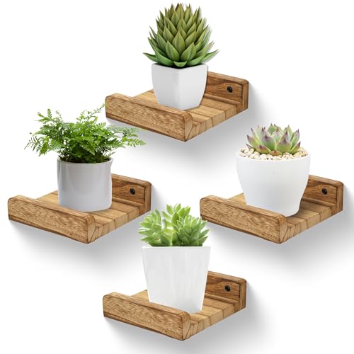 PHOENANCEE Small Floating Shelf,Mini Wall Shelves with Lip,Display Ledge,Speaker Shelf Set of 4 for Picture Frames Plants Decorative for Living Room Kitchen Bedroom,Wood,5 Inch,Carbonized Black - color: Carbonized Black, size: 5 Inch(4pcs)