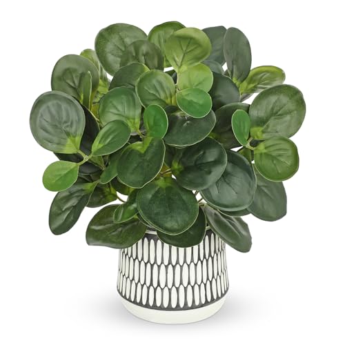 Villa Como 12" Artificial Plants Indoor Small Fake Plant in Ceramic Pot | Silk Plants for Home Decor Indoor, Faux Peperomia Potted Plant for Shelves Desks Office Bedroom Entryway Tabletop Decor - color: #Green #4