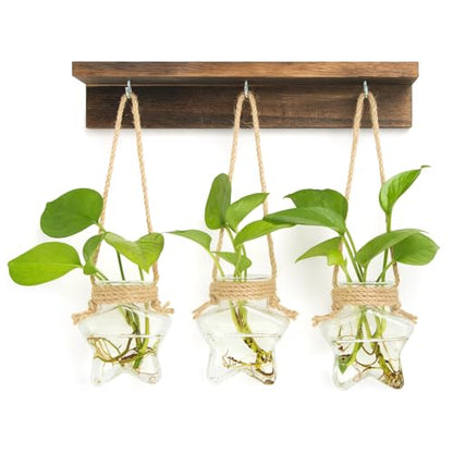 XXXFLOWER Wall Hanging Propagation Station with 3 Star-Shaped Glass Vase | Hanging Plant Holder for Hydroponics, Living Room Office Bathroom Wall Decoration, Unique Gardening Gifts for Plant Lover - size: 3 Star-Shaped Glass Vases