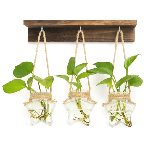 XXXFLOWER Wall Hanging Propagation Station with 3 Star-Shaped Glass Vase | Hanging Plant Holder for Hydroponics, Living Room Office Bathroom Wall Decoration, Unique Gardening Gifts for Plant Lover - size: 3 Star-Shaped Glass Vases