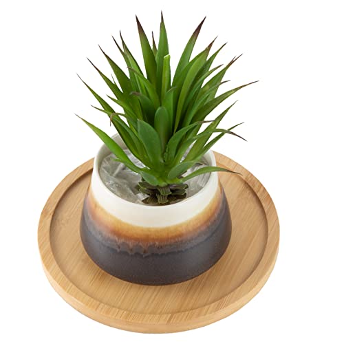 6.5 inch Modern Plant Stand & 5.5" Bamboo Saucer, Mid-Century Planter Holder, Plant Saucer, Round Bamboo Tray for Flower Pot, Planter Pot Tray, Prevent The Floor Wet, Not Include Planter Pot - size: 6.5"
