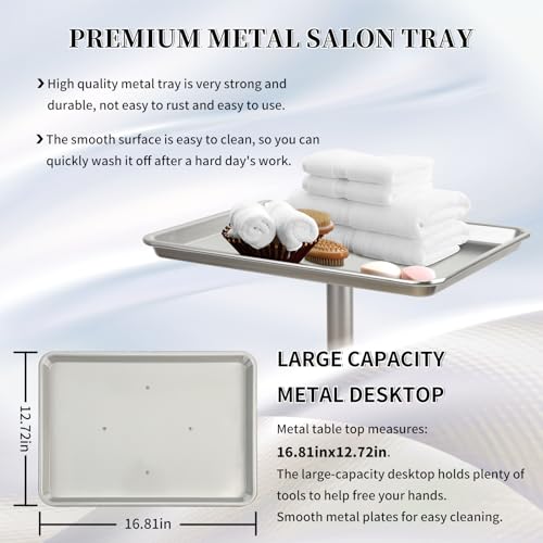 Salon Tray on Wheels, Salon Color Tray with Adjustable Height,Salon Rolling Tray Ideal Use As Metal Mayo Stand Tray,Tattoo Tray, Medical Tray, Dental Tray（Silver） - color: Silver
