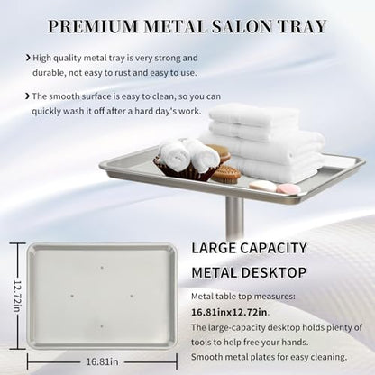 Salon Tray on Wheels, Salon Color Tray with Adjustable Height,Salon Rolling Tray Ideal Use As Metal Mayo Stand Tray,Tattoo Tray, Medical Tray, Dental Tray（Silver） - color: Silver